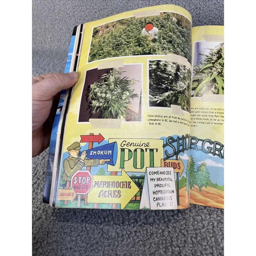 CANNABIS‎ CULTURE MAGAZINE JUNE / JULY 2003